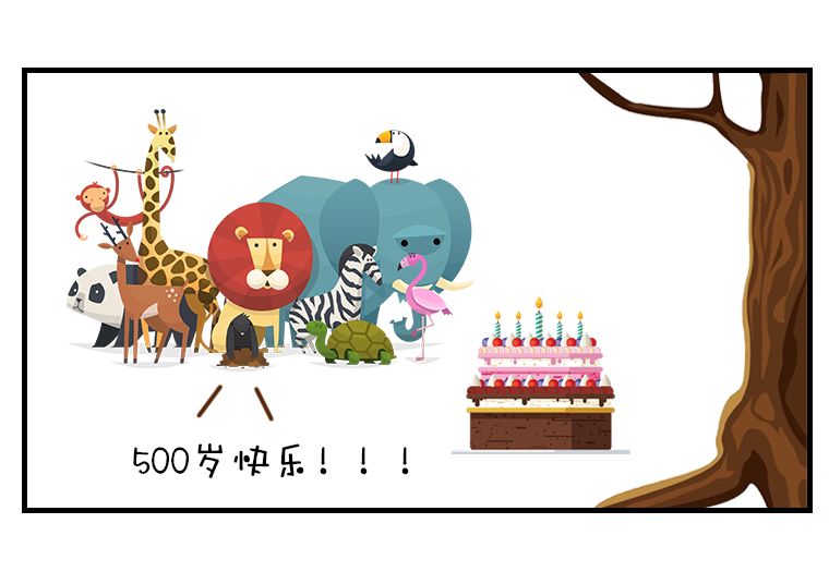 红豆杉树皮正确的吃法,红豆杉树皮的正确吃法