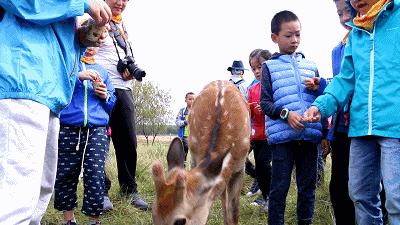12月份出国亲子游,出国亲子游哪些国家合适