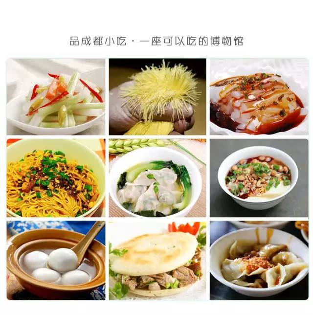 大熊猫铲屎官,都江堰熊猫谷铲屎官报名