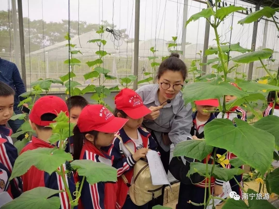 南宁六一免费景点推荐,南宁六一儿童游玩攻略