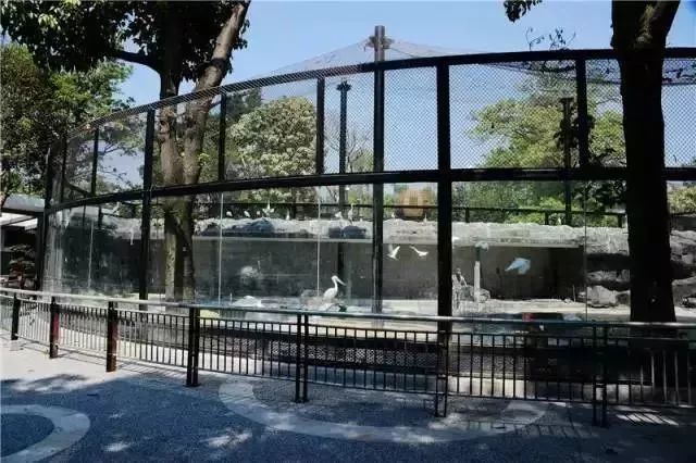 厦门推荐带娃好玩的地方,厦门溜娃免费景点