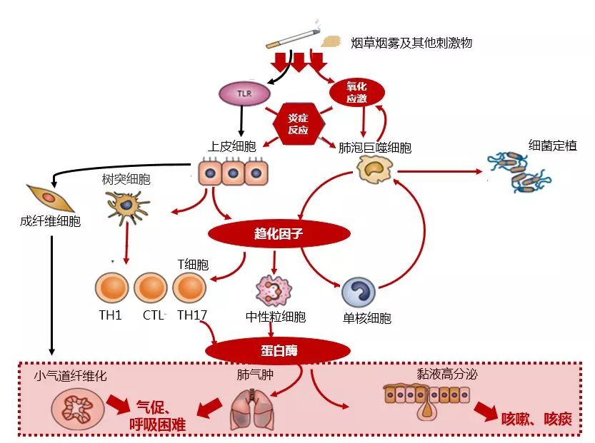 陈荣昌福建,陈荣昌广东