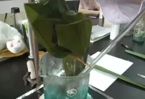 粽叶泡过硫酸铜和正常的区别,怎样辨别粽叶有没有浸泡过硫酸铜