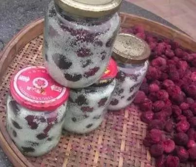 杨梅里面的虫子吃到肚子怎么办,杨梅有虫子怎么吃