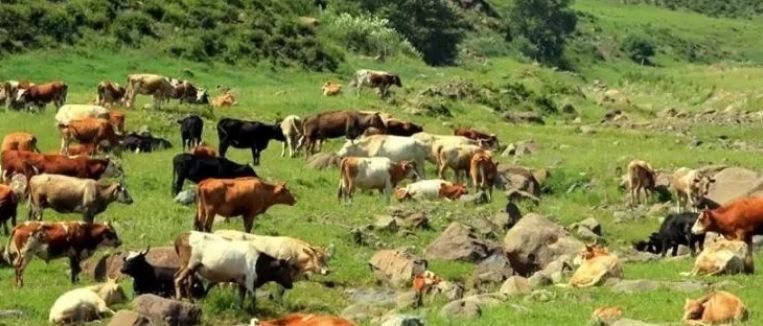 差一秒钟不赶上地铁,差两分钟没赶上火车可以退票吗