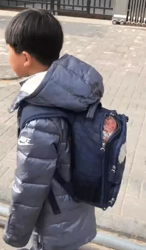 宝贝们,知道自己有多“火”不?我们帮你盘一盘