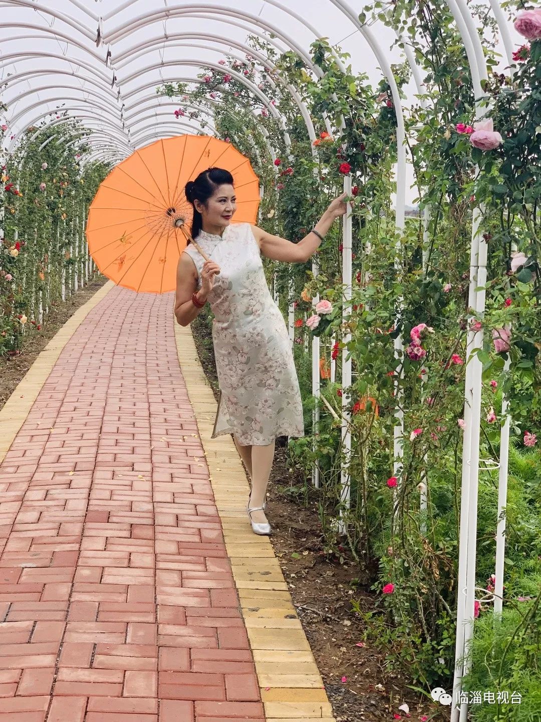 临淄梦幻花海,航拍临淄花海风景