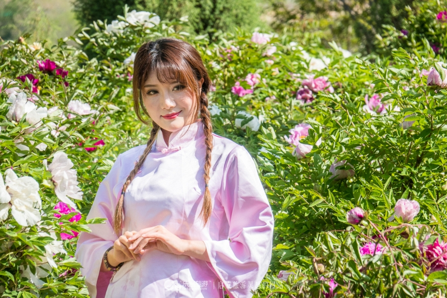 他让高寒干旱地开满牡丹花，打造西北牡丹第一园