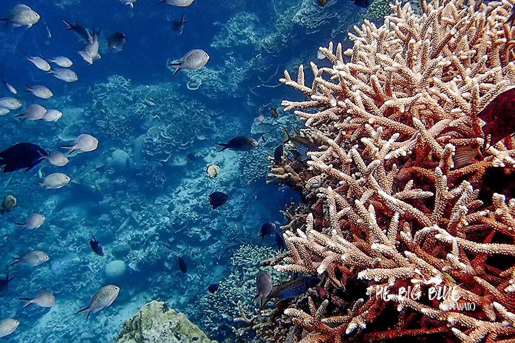 最便宜免签的海岛,小众便宜国外海岛旅游免签