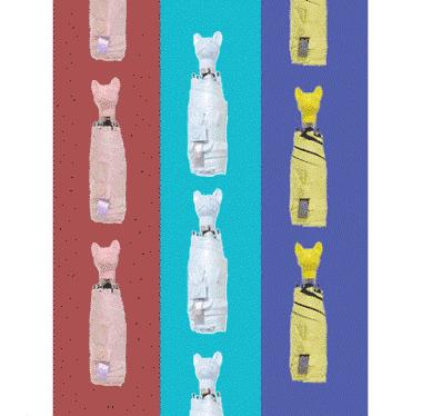 不惧台风的雨伞,无惧风雨的摩托车雨衣