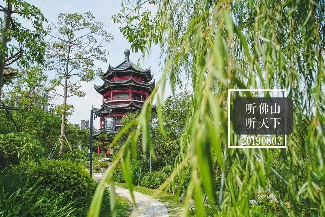 未来十天，阵雨伴“桑拿”；在港澳遇消费纠纷？上这个平台搞掂！|听佛山