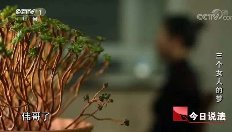 中药蜜膏制作方法,中药蜜炼步骤和方法