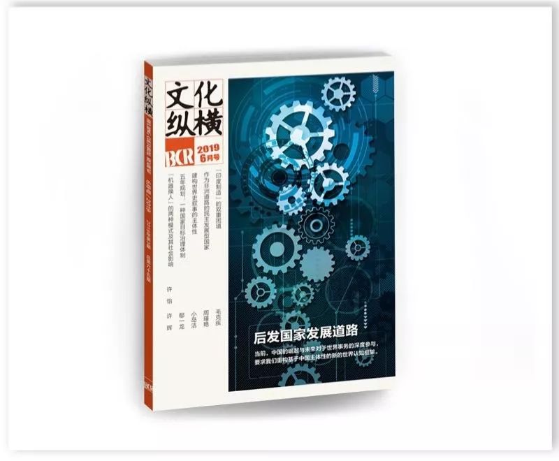 苏力:制度化的复仇恰恰是文明和理性的产物|文化纵横