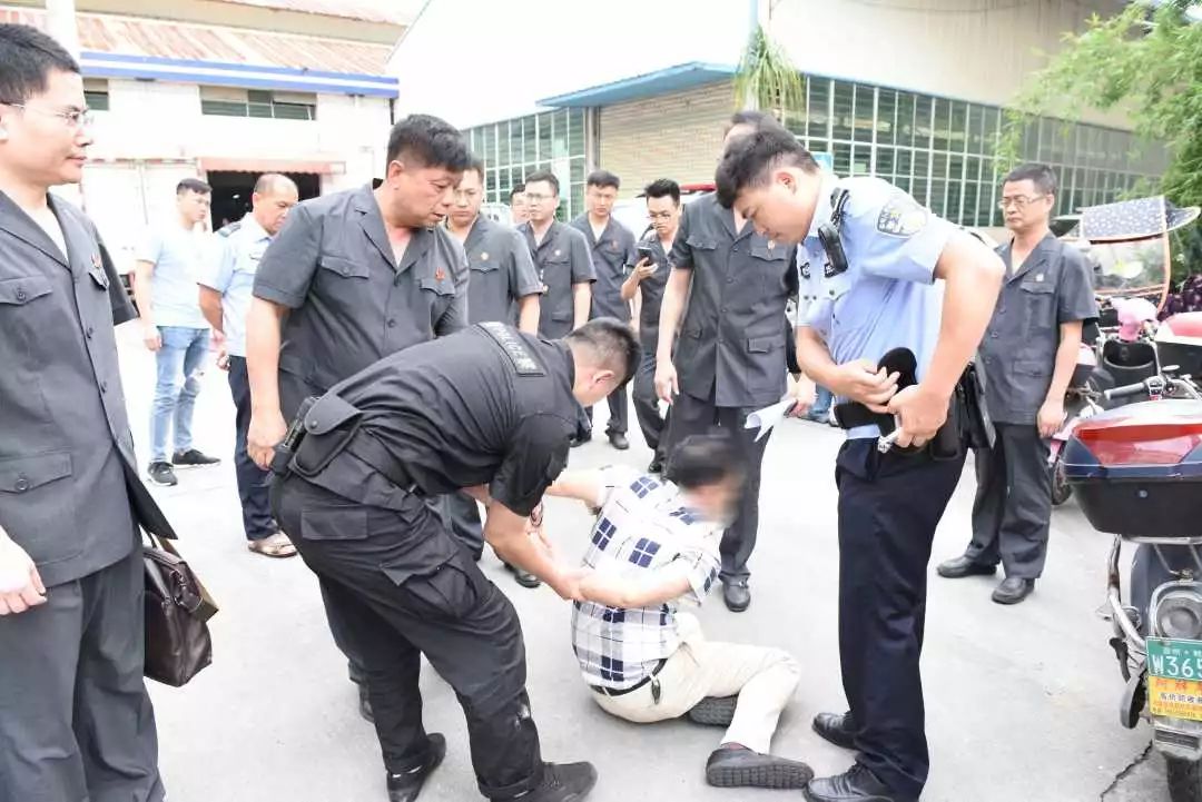 两级法院集中开展雷霆行动,法院推进夏季攻势