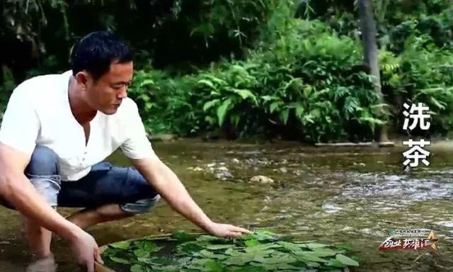 退伍军人结缘鹧鸪茶,打造舌尖上的海南岛,年销售额达1000万元