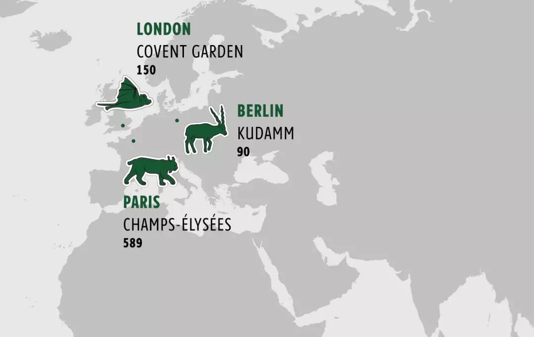 这一回，用了86年的“鳄鱼logo”再次被换，只为保护濒危动物！网友：这是2019年最棒的公益