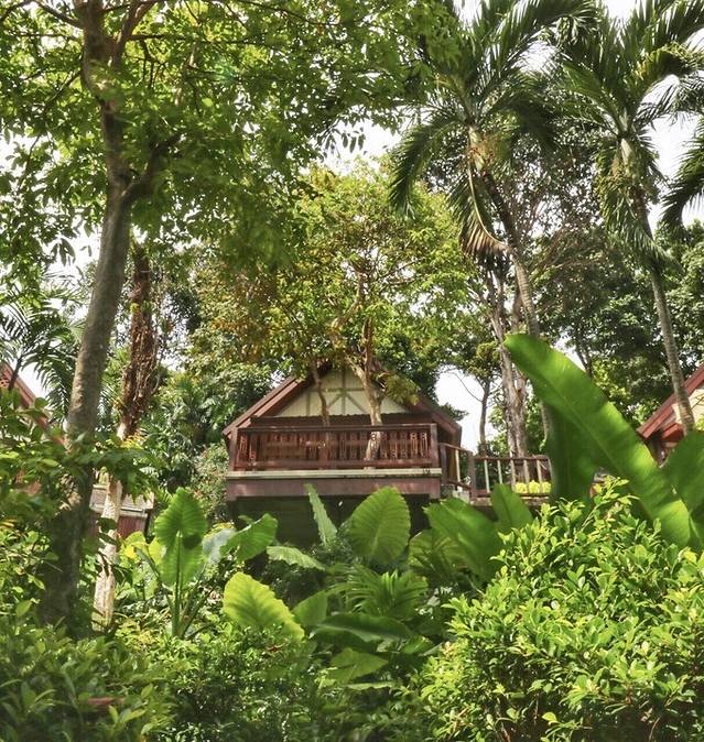 泰国普吉岛芭东海滩泰式spa,普吉岛泰式精油spa宣传片