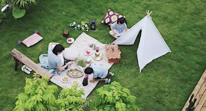 7个闺蜜在稻田里爆改了个“玻璃盒子”，只为兑现养老之约，却意外走红