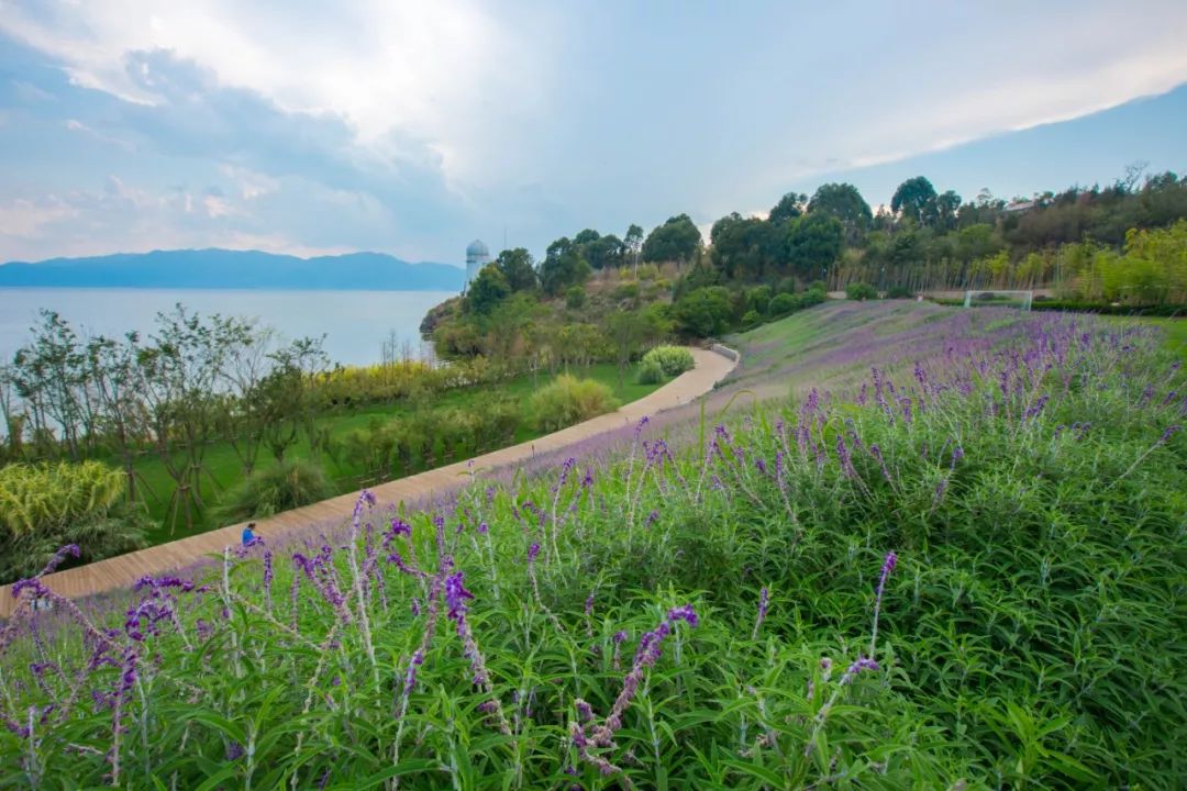 希尔顿最值得购买的酒店,云南丽江晶玺希尔顿酒店