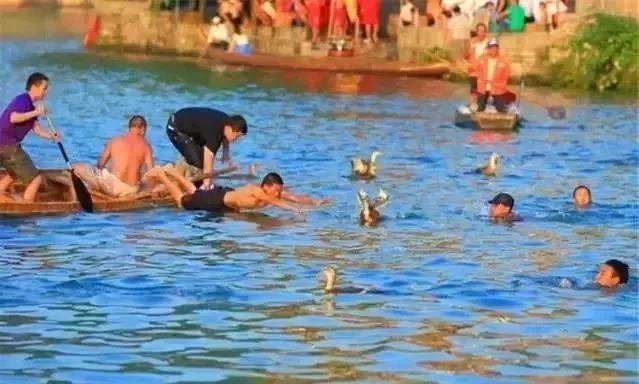 端午节去哪里旅游有赛龙舟,端午划龙舟去哪玩好