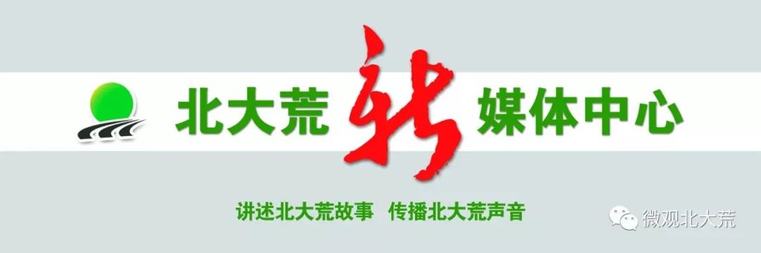 北大荒品牌连续七年荣获什么称号,北大荒位列世界品牌500强第多少位