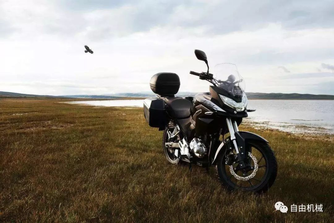 入门拉力车型推荐,不超两万的车