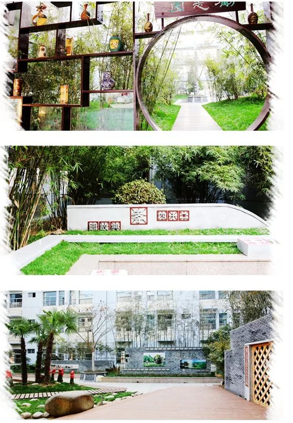 荣誉喜报：三井实验小学又获省级大奖！