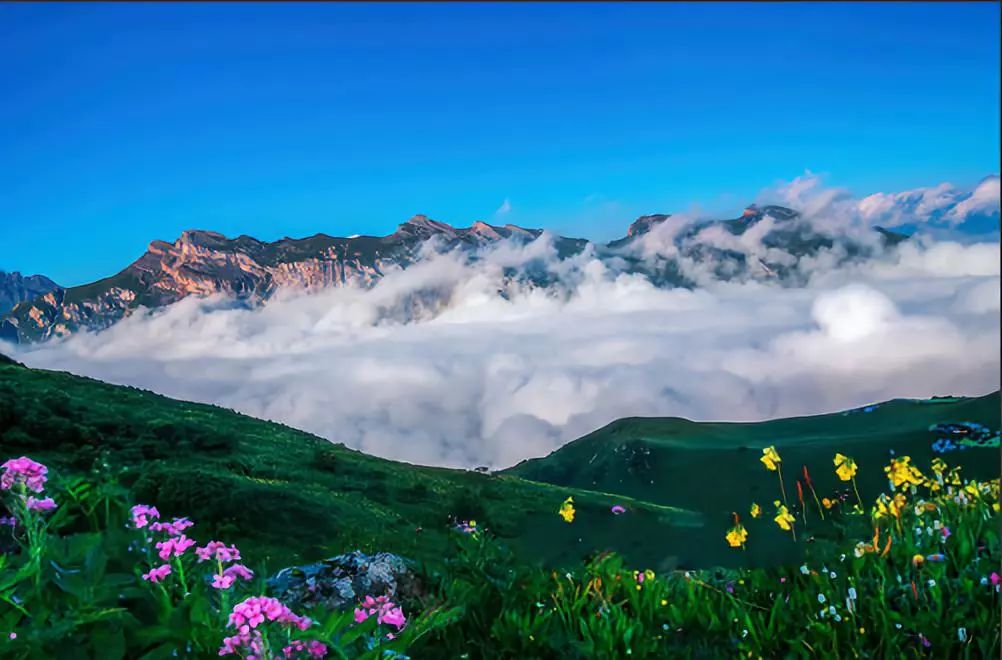 1-2天游玩,纯玩又便宜有趣的旅游线路