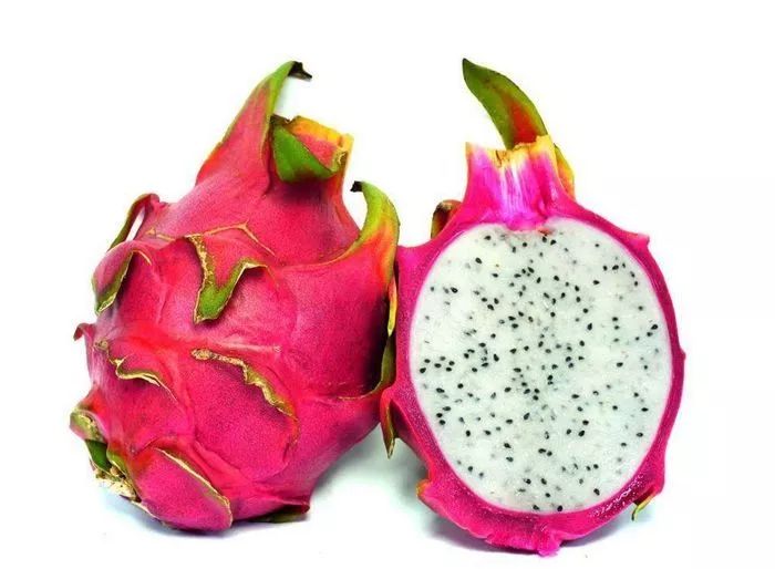 好好学农｜火龙果“果小”且“丑陋”，到底是为何？