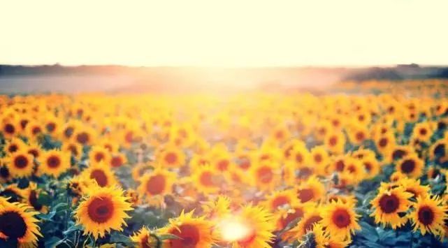 中国未来发展最好的城市郑州,郑州未来发展潜力最好的城市