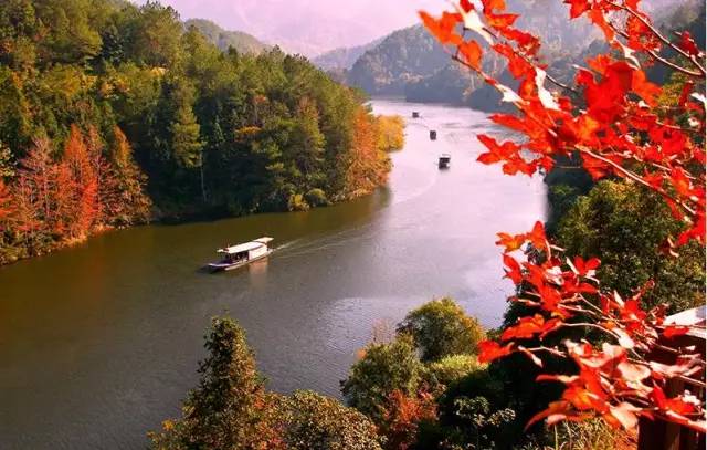 从广州坐高铁3.5小时到梅州，这海量美景美食看得人口水直流