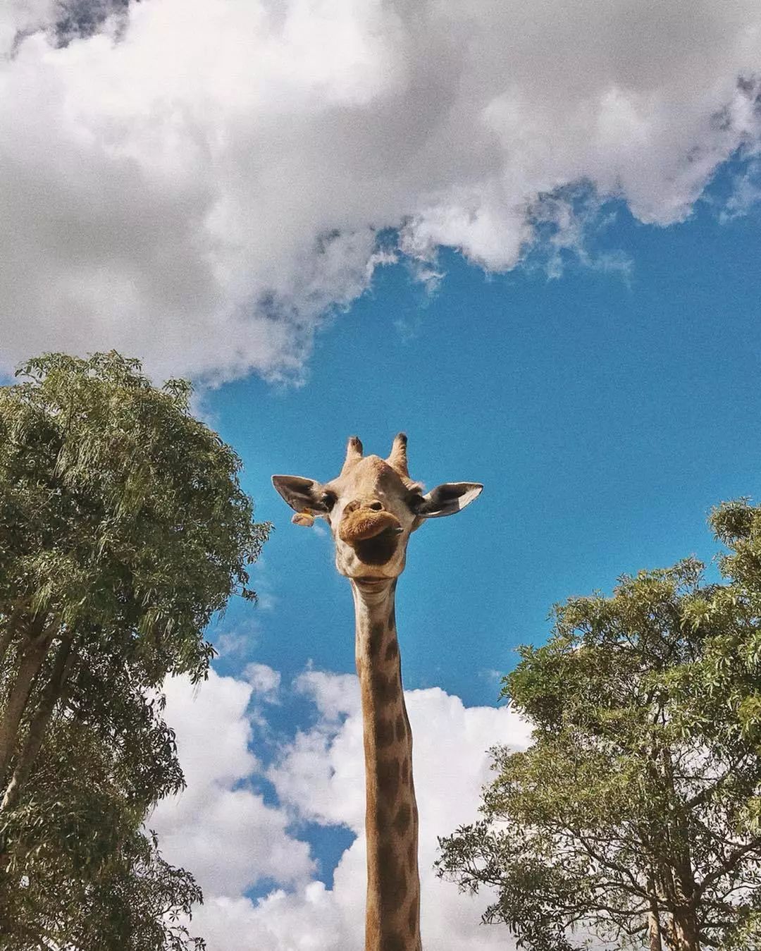 如何在旅行中省钱买到便宜的机票,旅行达人教你如何购买超低价机票