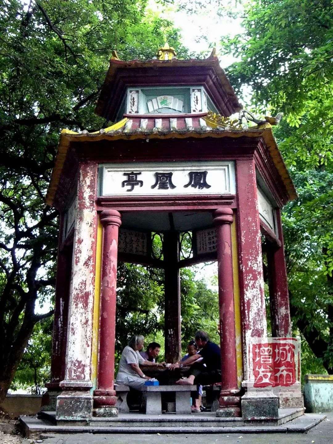 满满的回忆!一组珍贵老照片,带你见证增城变迁!