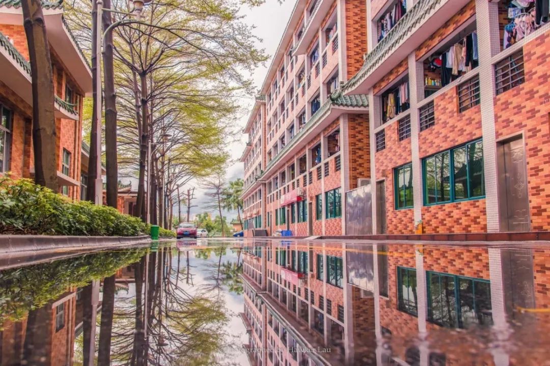 内外兼修的美才是真正的美,内外兼修的美丽