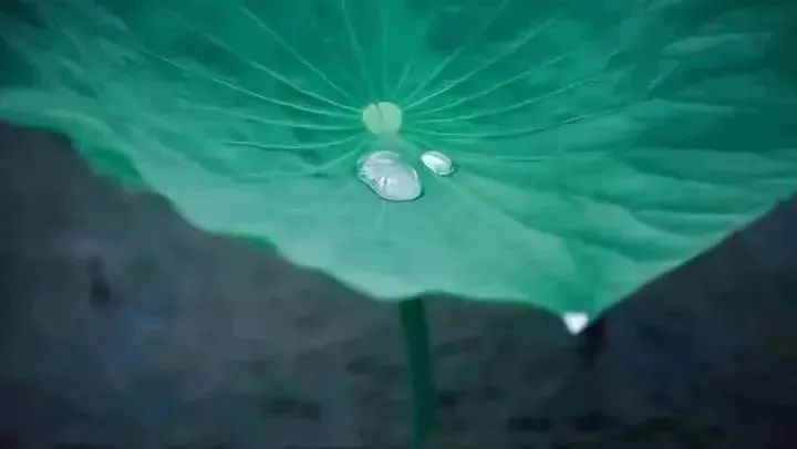 中医养生音乐十大名曲,中医五行养生音乐曲目