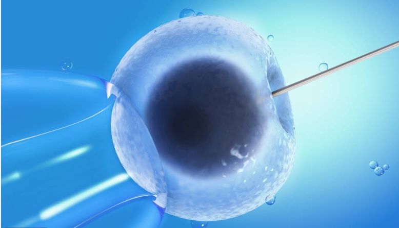 林志玲谈冻卵,44岁林志玲积极备孕