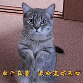 拒绝一次就不再热情,拒绝一次就不想主动了