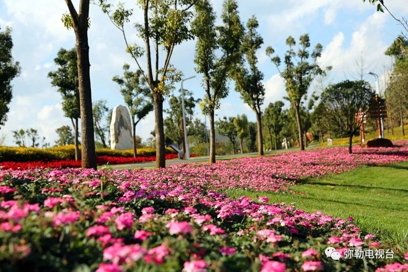弥勒美食必吃推荐,云南弥勒美食野生菌