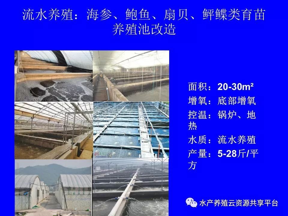 工厂化养殖南美白对虾技术详解,工厂化南美白对虾养殖全过程