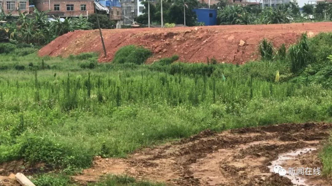 南宁市双地铁学区房,南宁市第一梯队学区房