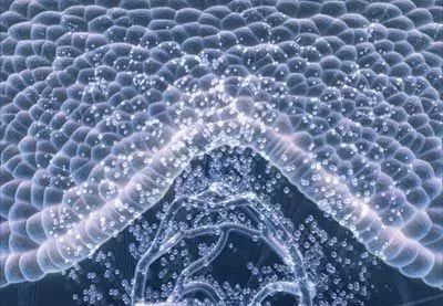 维密瘦身28天瘦15斤,维密塑形7天瘦7斤