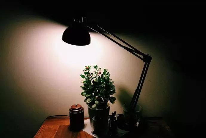 led灯伤眼吗,led灯伤眼