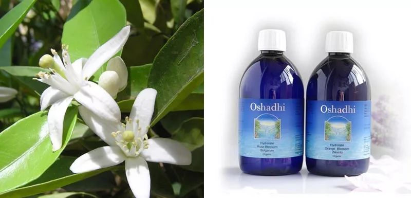 张雪迎白发王妃哭戏,张雪迎白发王妃插曲心锁