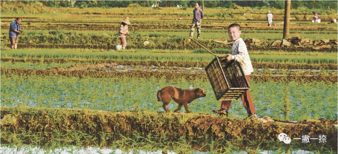 人民日报经典封面照片,人民日报最美照片