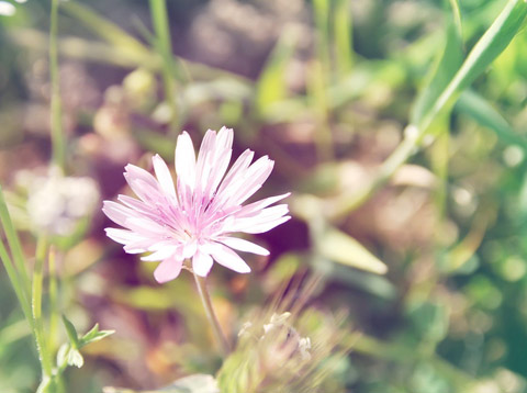 对付天秤男最好的方法断联,虐天秤男的方法
