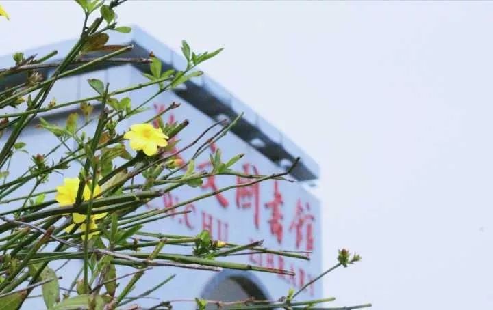 瀹夊笀澶ц瓒呰秺瀹夊ぇ,瀹夊笀澶у畨鍐滃ぇ