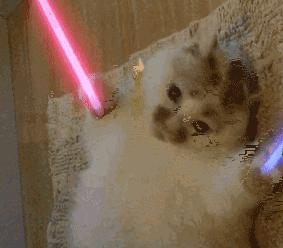 好物|直接砍掉600大洋！让我每天都感叹活着真好的胶囊机！终于打折了