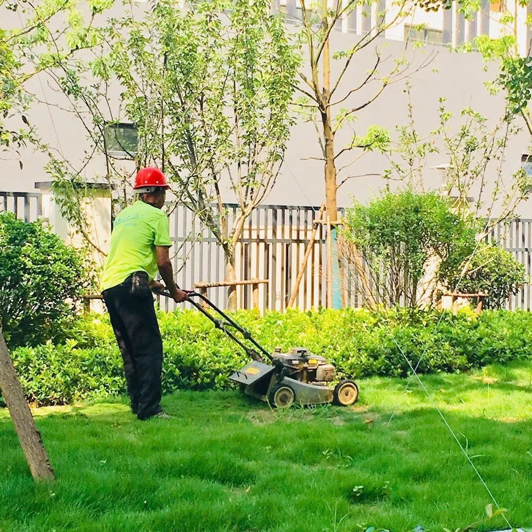 鍐涜繍鏉戣繍鍔ㄥ憳浣忓,鍖椾含鍐涜繍鏉戣繍鍔ㄥ憳鍏瘬