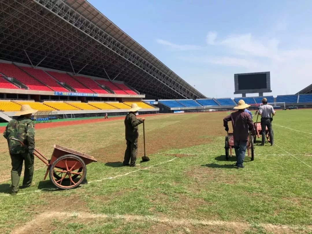 广西体育场草坪养护,河北体育场草坪养护团队