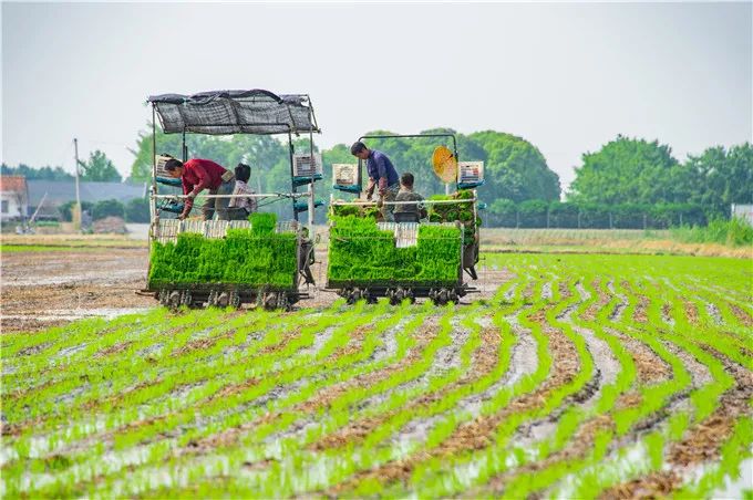 视觉印象张家港,视觉装饰张家港